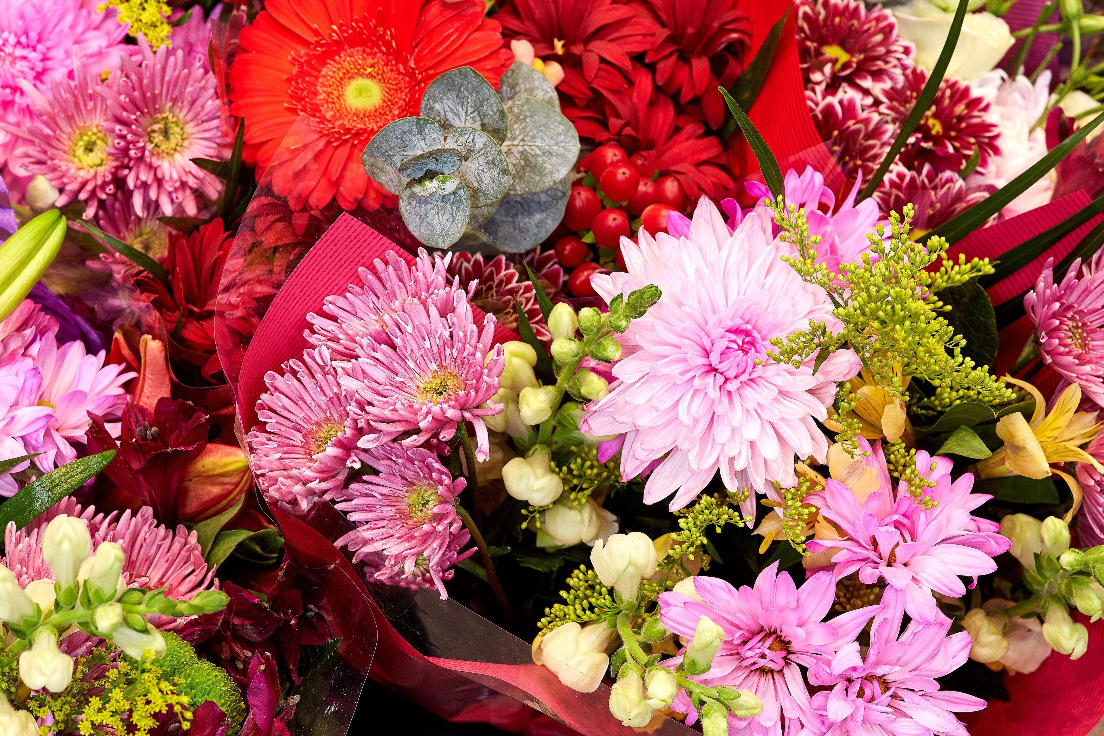 Close up shot of pink flowers and greens.